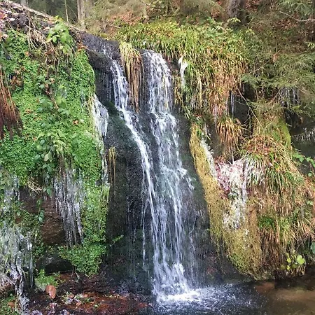 Nationalpark Schwarzwald Apartamento