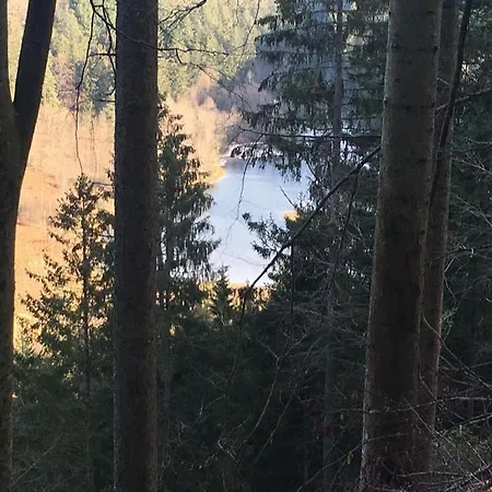 Nationalpark Schwarzwald