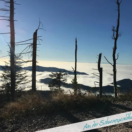 Nationalpark Schwarzwald